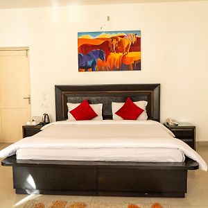 Aestus Adventure And Wellness Centre